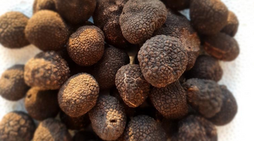5 Things We Get Terribly Wrong About Truffles!